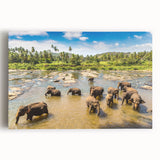 Black and white stretched canvas of a Sri Lankan landscape, ideal for kitchen wall art.