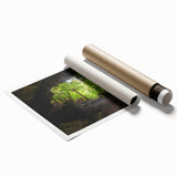 Extra large rolled print of Tasmania scenery with vibrant floral elements, ideal for classy bathroom wall art.