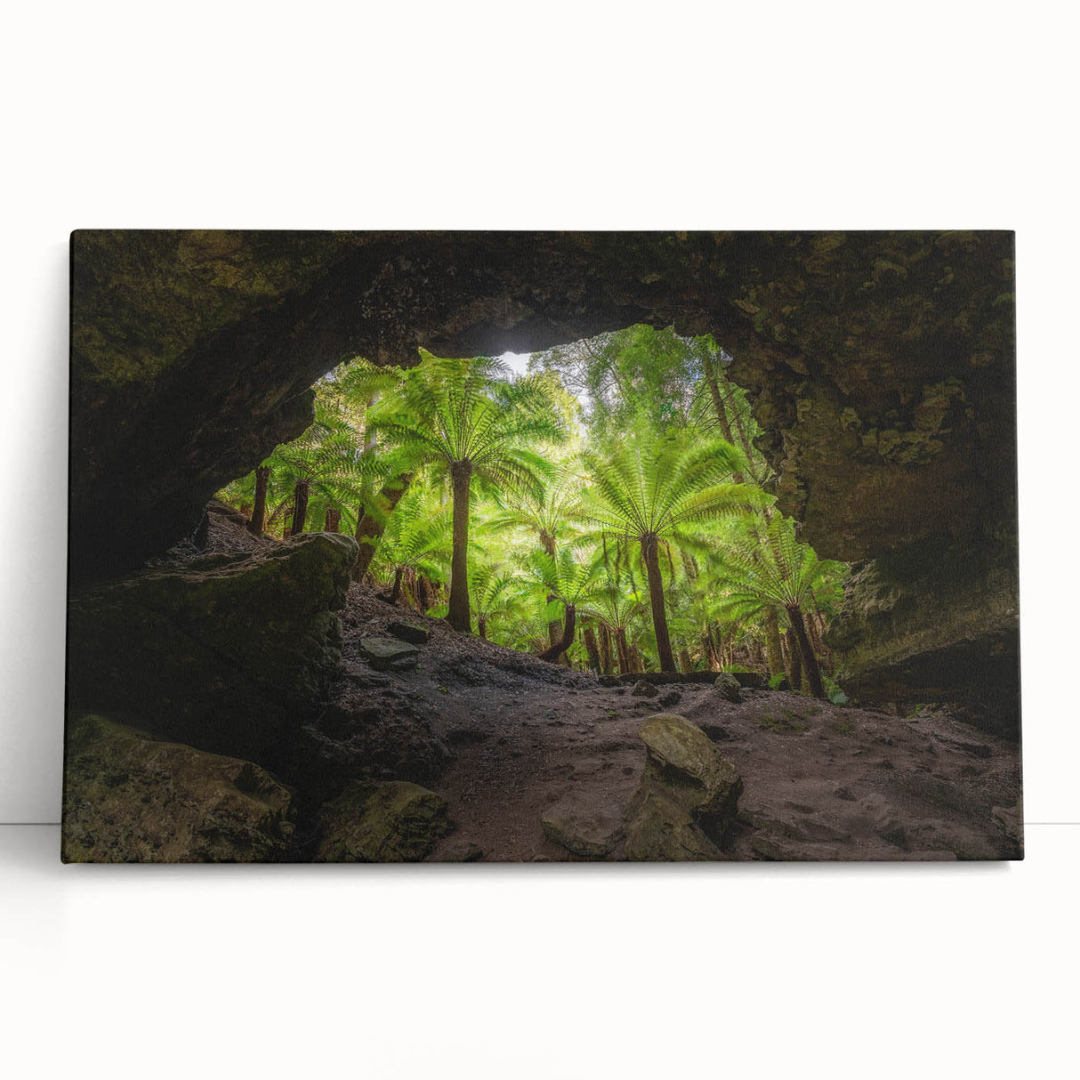 Black and white photograph of Tasmania scenery on stretched canvas, ideal for kitchen wall art.