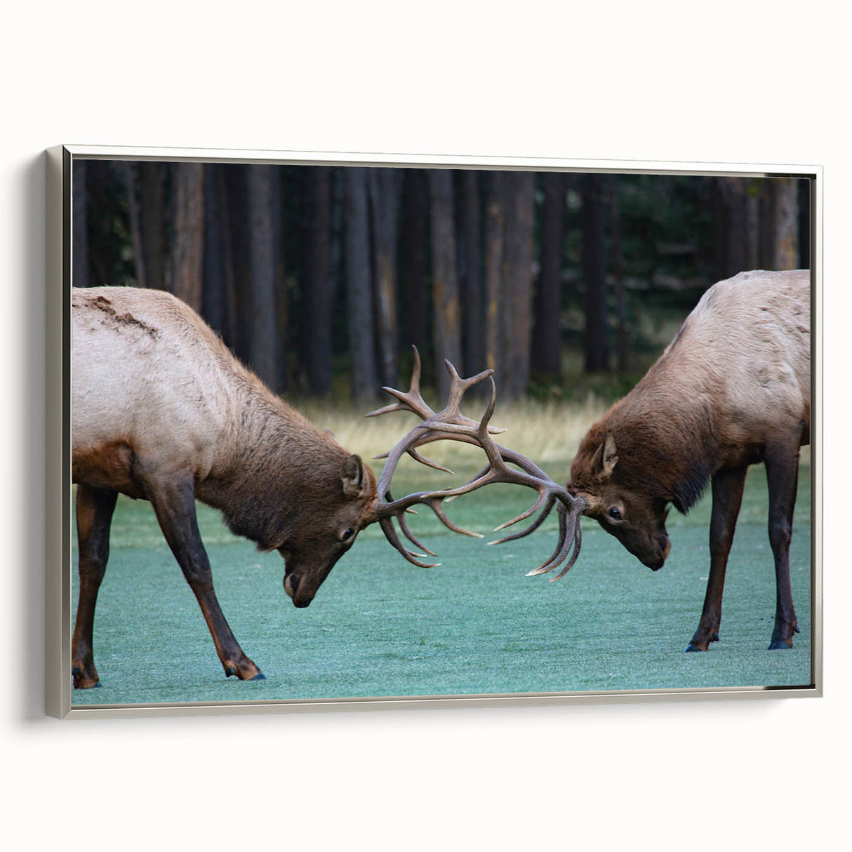 Landscape art painting of Alberta scenery on a framed canvas.