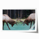 Scenic depiction of Alberta's landscape on a rolled print, with muted green and blue tones, ideal for art wall dining room.