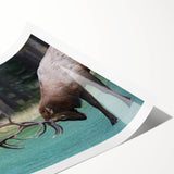 Extra large rolled print featuring line art flowers in white on a dark background, suitable for large living room wall art.