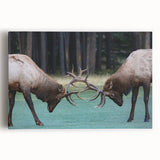 Black and white photograph of Alberta, Canada scenery on stretched canvas, ideal for kitchen wall art.