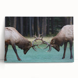 Large black and white stretched canvas of Alberta, Canada scenery, ideal for kitchen wall art or bedroom ambiance.