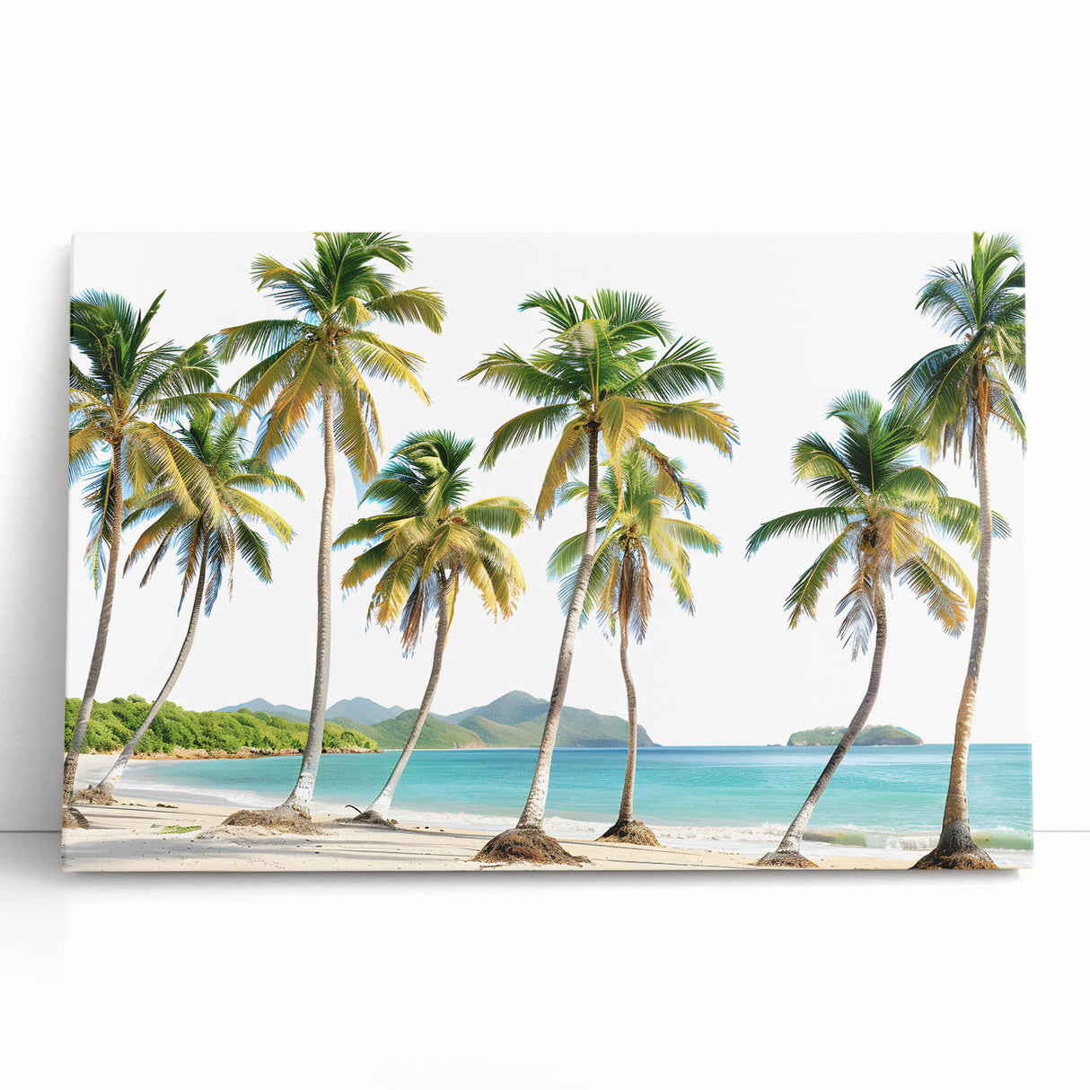 Large black and white canvas art of Antigua scenery, ideal for kitchen wall art.