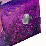 Large abstract wall art depicting the Provence scenery in mid-century modernist style, ideal for dining room art.