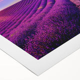 Art deco poster of a Provencal landscape in soft pastel shades on rolled canvas, ideal for dining room wall art.