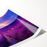 Extra large wall art featuring line art flowers in muted earth tones on a rolled canvas.