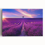 Black and white canvas print of Provence scenery, ideal for kitchen wall art or bedroom ambiance.