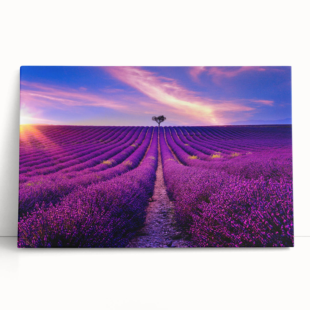 Black and white stretched canvas of a Provence scenery, ideal for kitchen wall art.