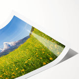 Extra large wall art of line art flowers in muted tones on rolled canvas, suitable for large living room spaces.