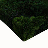 Large art depicting a black and white landscape of Latvia on stretched canvas, suitable for bedroom wall decor.