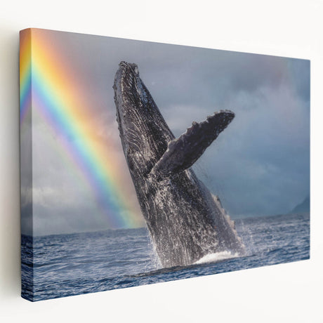 Large art print of Cabo San Lucas scenery on stretched canvas, featuring ocean and rock formations in natural hues.