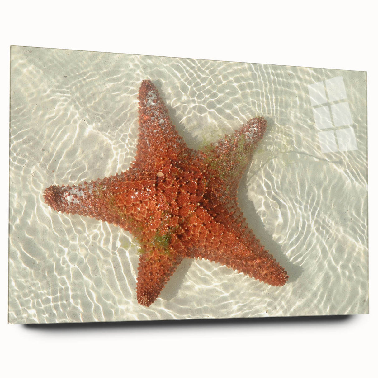 Large abstract wall art depicting a serene Quintana Roo landscape in muted blue and green tones on acrylic glass.