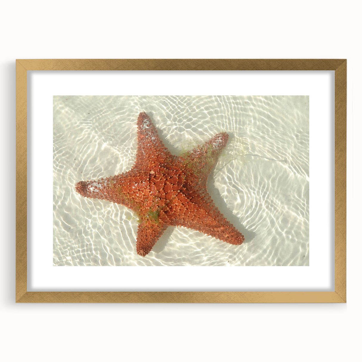 Extra large abstract art print depicting textured scenery of Quintana Roo in a gold frame, ideal for living room decor.