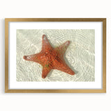 Extra large abstract art print depicting textured scenery of Quintana Roo in a gold frame, ideal for living room decor.