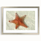 Textured abstract art print depicting a serene Quintana Roo landscape in muted earth tones, framed in silver.