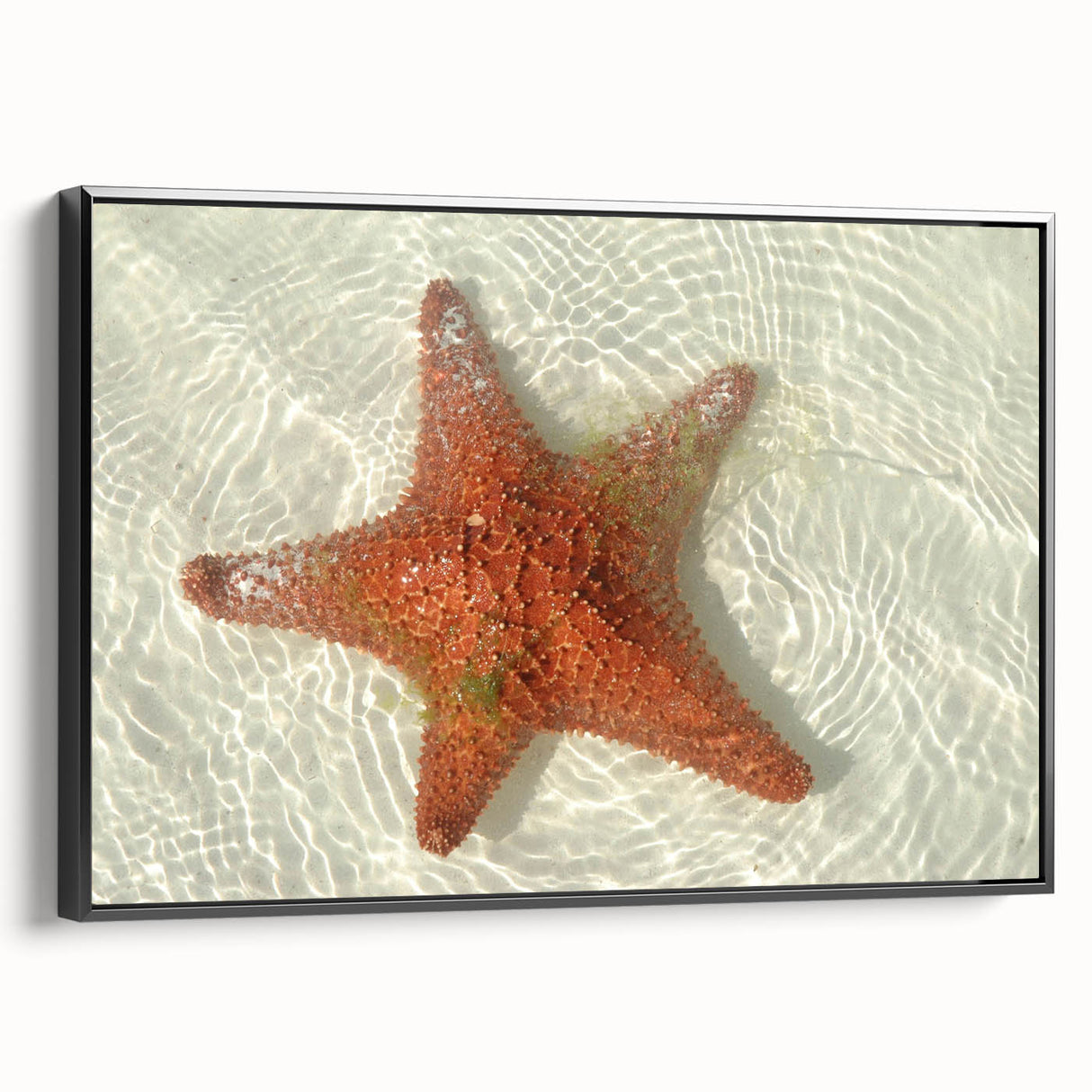Black and white framed canvas of Quintana Roo landscape, vintage poster style, ideal for bedroom decor.