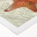 Art deco poster of Quintana Roo scenery in pastel shades on rolled canvas, ideal for dining room decor.