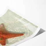 Extra large rolled print of line art flowers in black on white, suitable for large living room wall art.