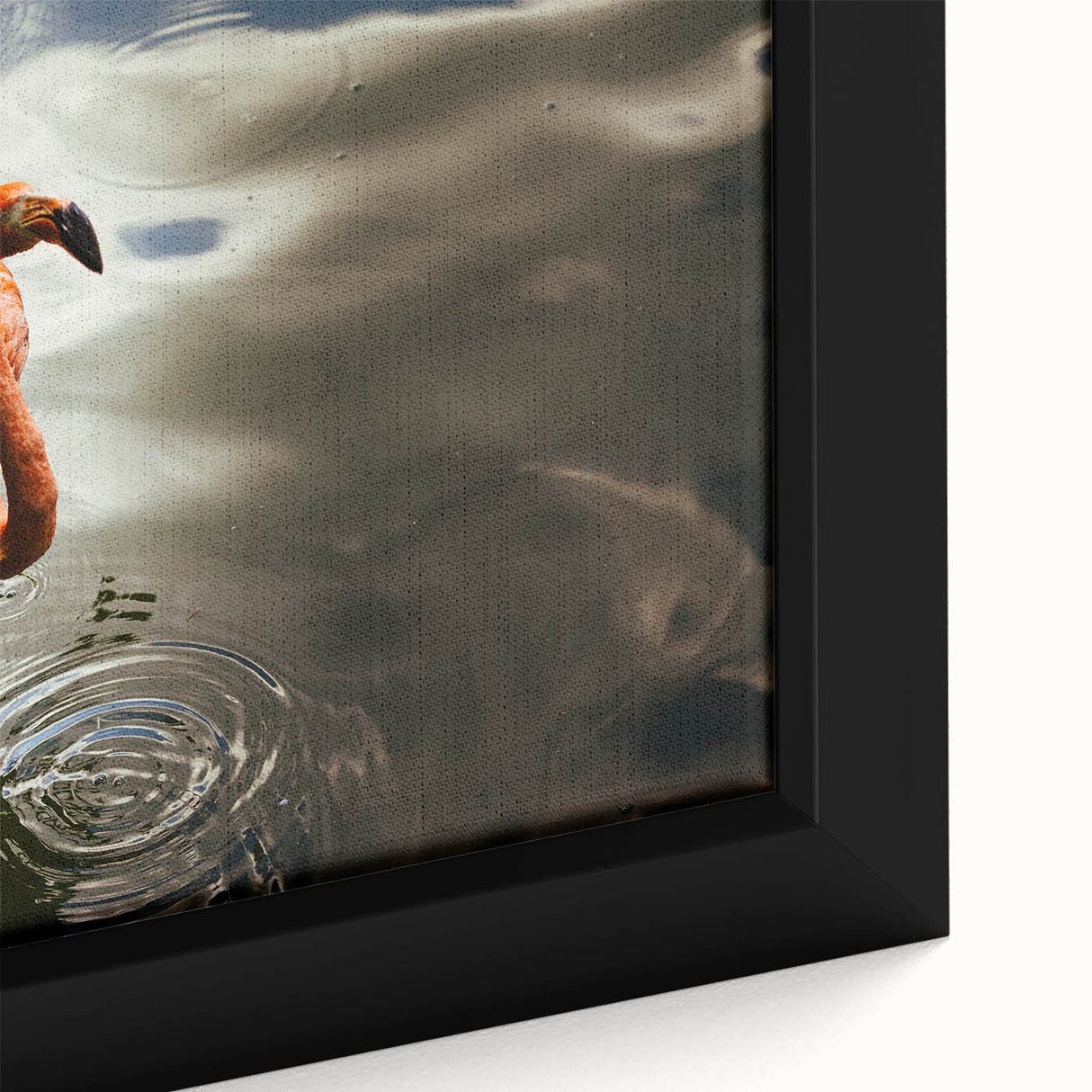 Extra large framed canvas featuring a textured depiction of Yucatán, Mexico, with vibrant colors on a black background.