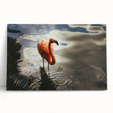 Black and white photograph of Yucatan scenery on stretched canvas, ideal for kitchen wall art.