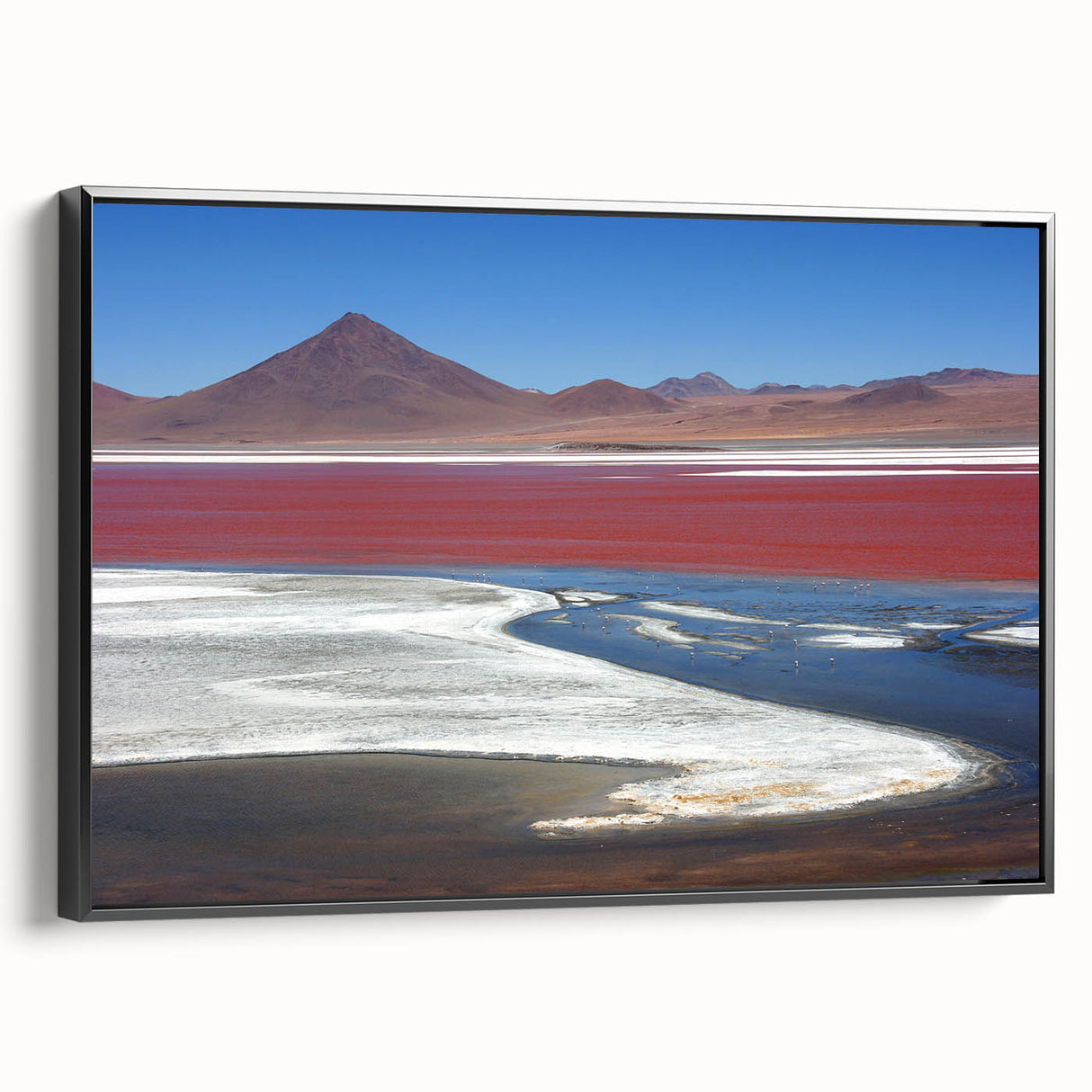 Black and white vintage poster art of a Bolivian landscape on framed canvas, suitable for bedroom decor.