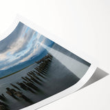 Extra large wall art featuring line art flowers in muted colors on a rolled canvas, suitable for large living room decor.