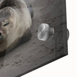 Large abstract wall art featuring a Galapagos scenery in muted earth tones on acrylic glass, ideal for dining room ambiance.