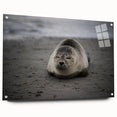 Acrylic print of a Galapagos scenery in vibrant blue and green tones, suitable for bedroom or dining room decor.
