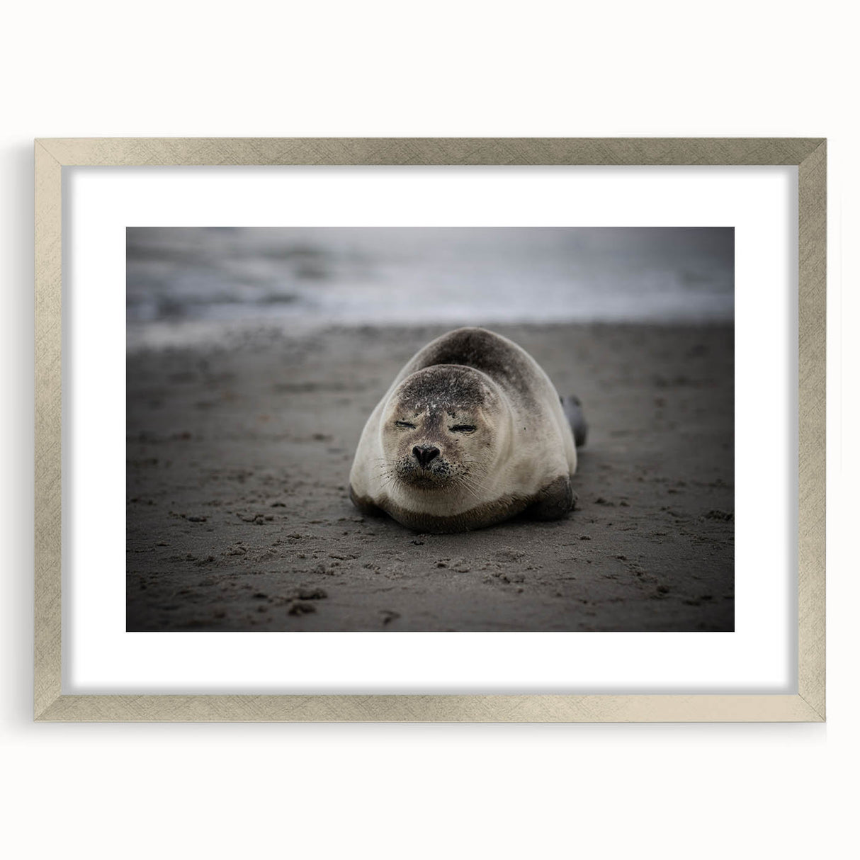 Textured abstract art print of Galapagos scenery in muted earth tones on a framed silver mat, suitable for bedroom decor.