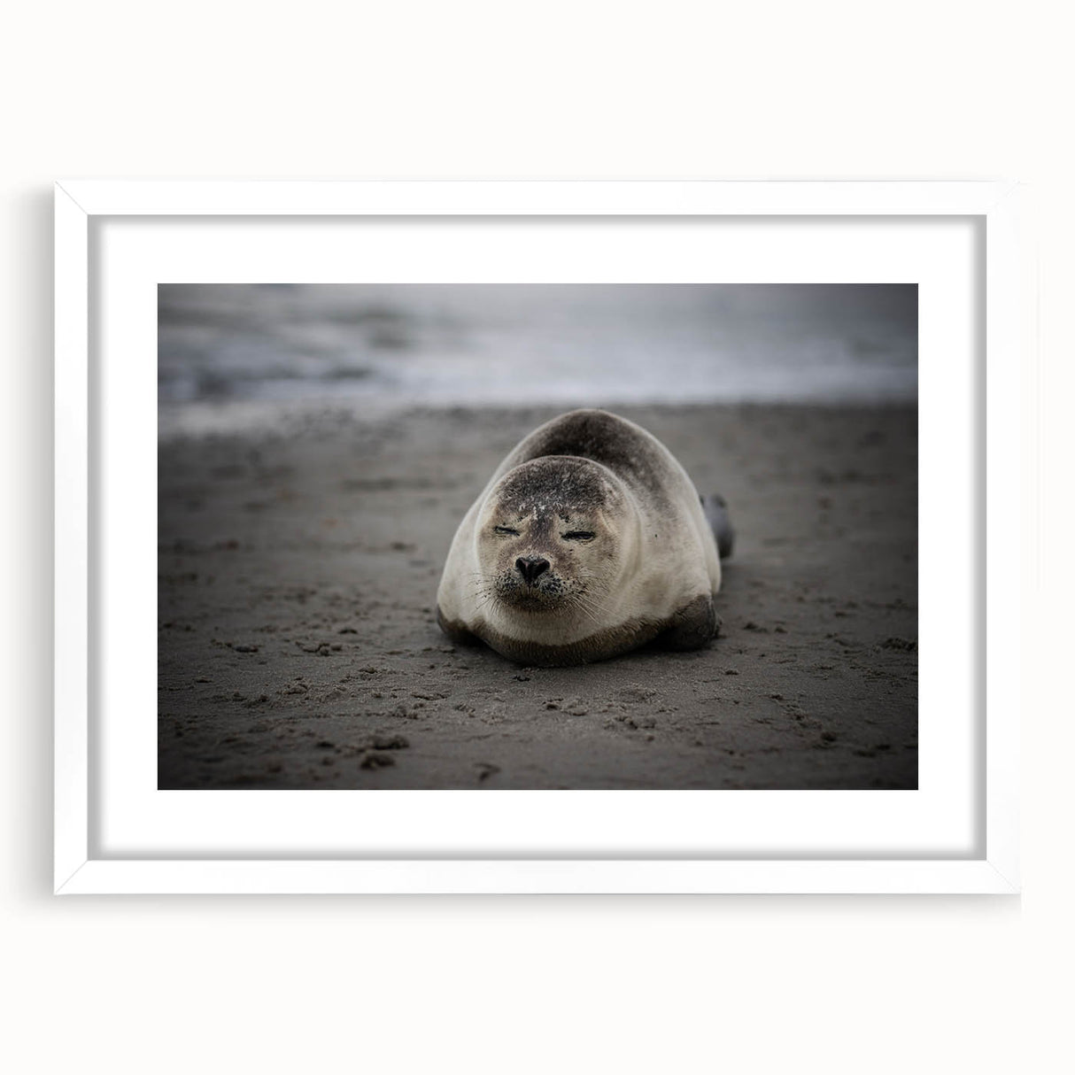 Abstract art print of Galapagos scenery in muted green and blue tones on a white framed poster, ideal for dining room decor.