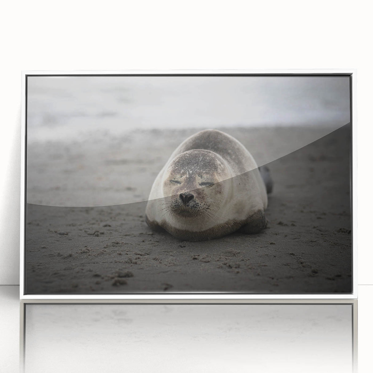 Acrylic print of Galápagos Islands with vivid blue ocean and sky, framed in white, suitable for modern art wall decor.
