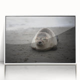 Acrylic print of Galápagos Islands with vivid blue ocean and sky, framed in white, suitable for modern art wall decor.