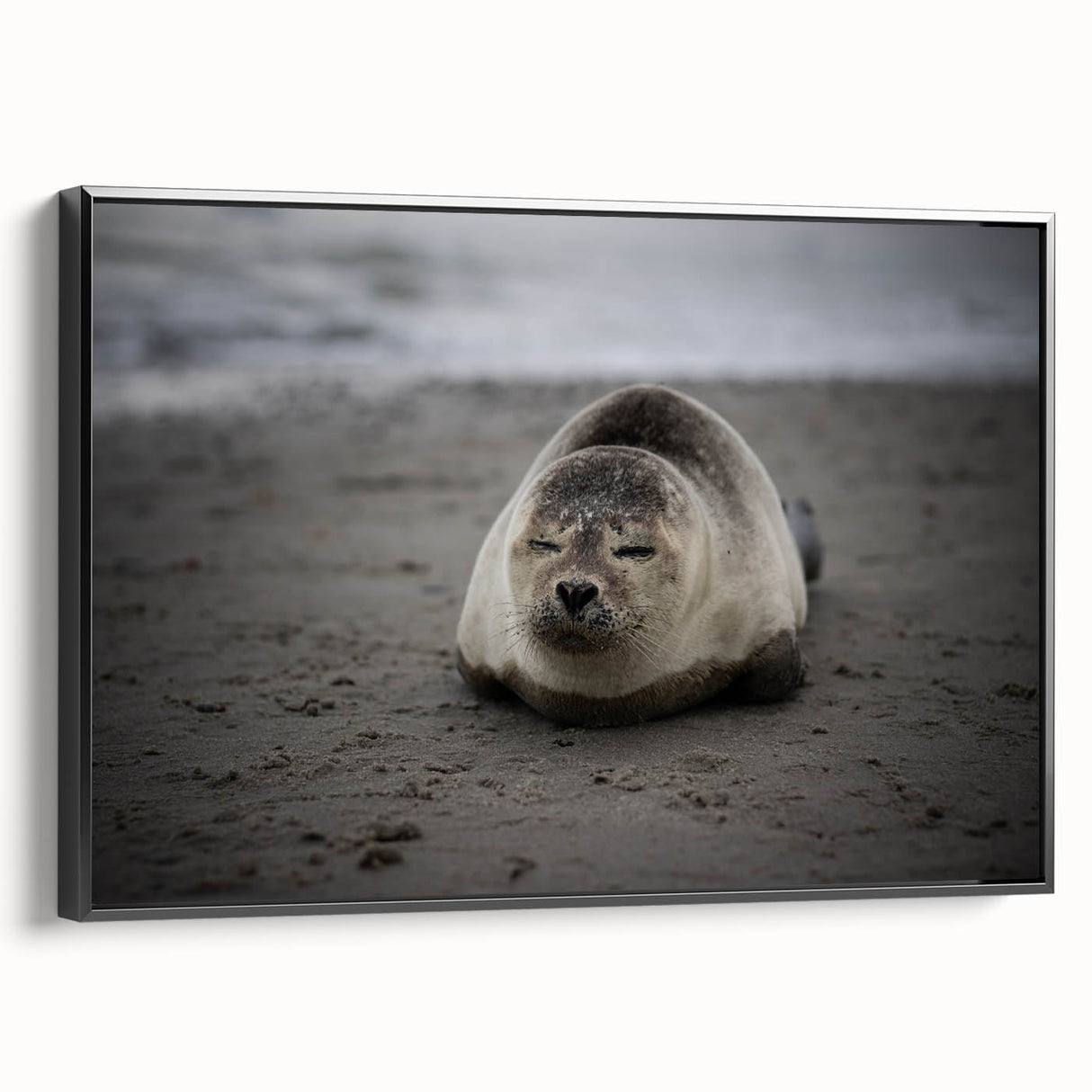 Black and white framed canvas of Galapagos landscape, vintage poster style, ideal for bedroom decor.