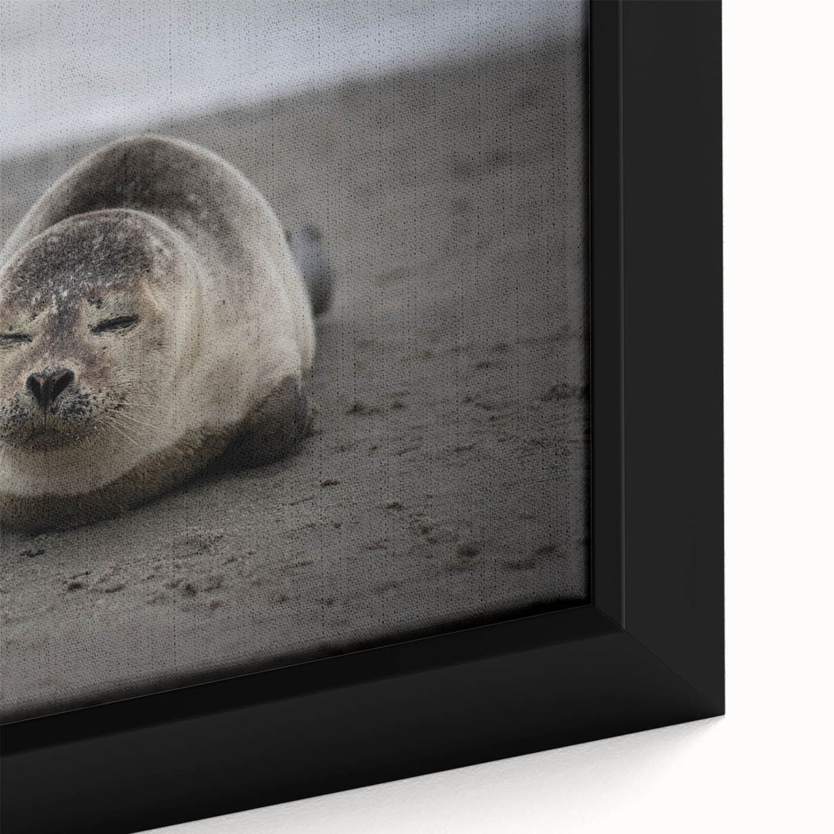 Extra large framed canvas featuring a black textured art scene of the Galapagos with vibrant colors.