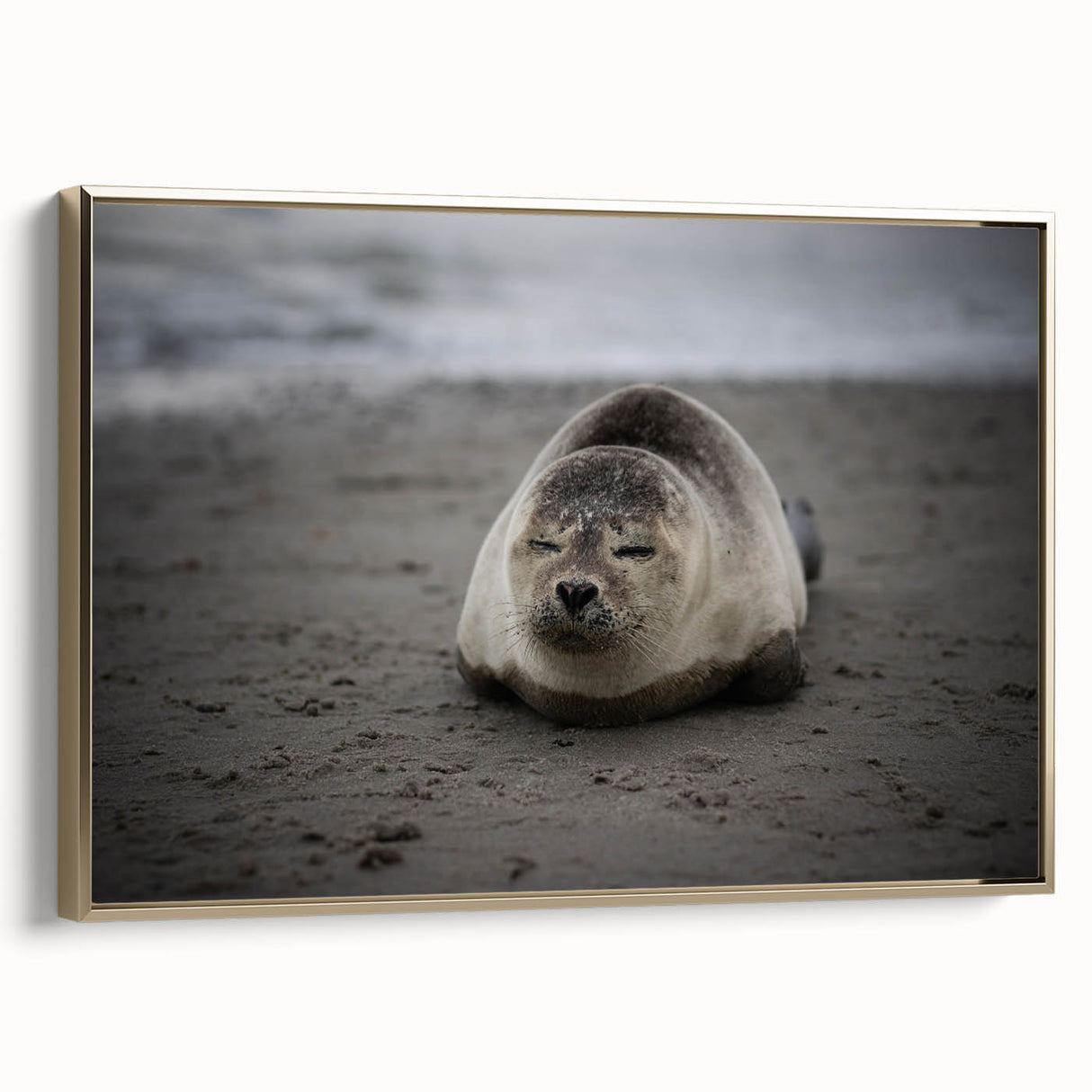 Framed canvas of a vintage-style landscape painting depicting the Galapagos Islands, featuring black and gold tones.