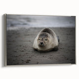 Landscape art painting of the Galapagos on framed canvas with vibrant colors and vintage poster style.
