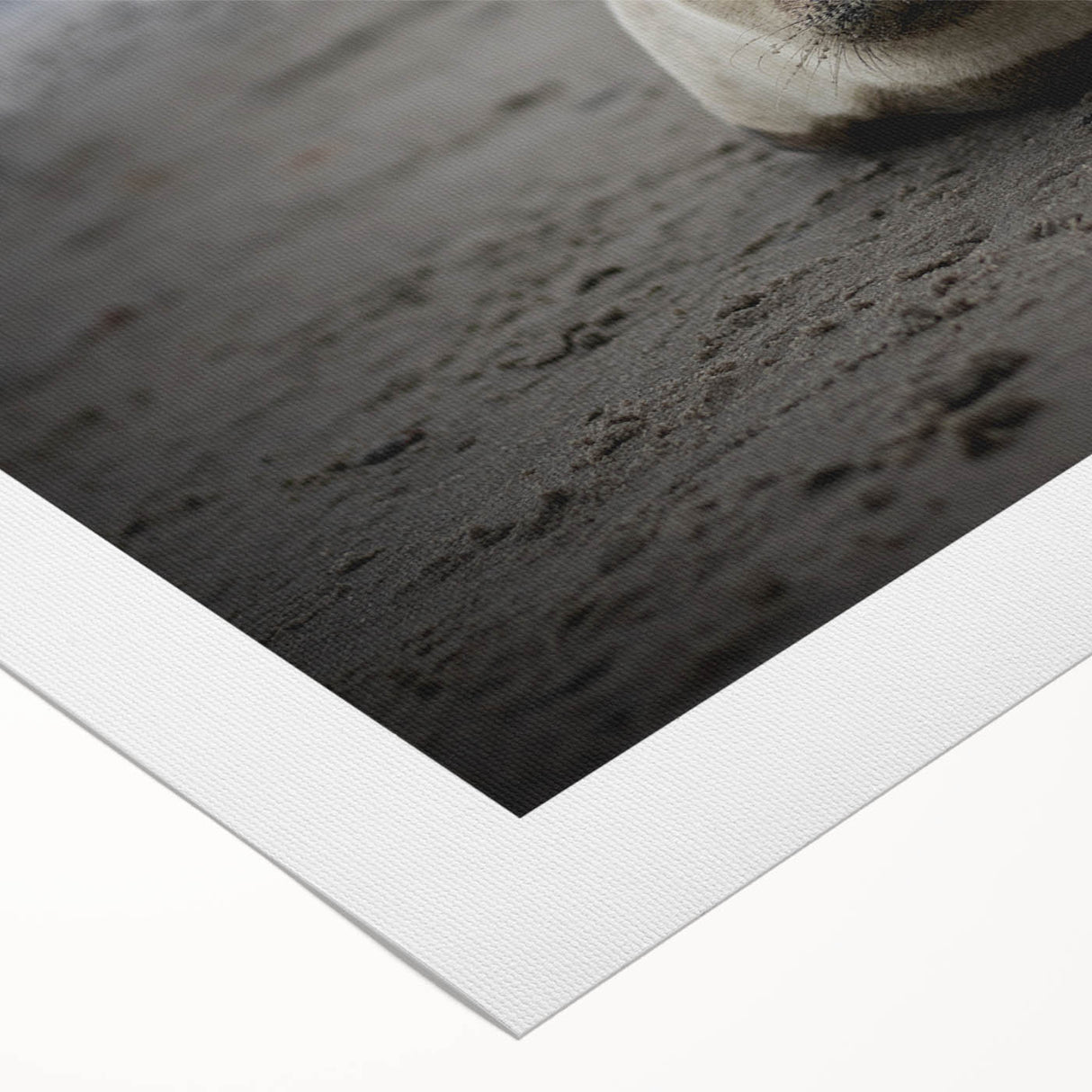 Art deco poster featuring a scenic view of the Galapagos Islands with muted earth tones on rolled canvas.