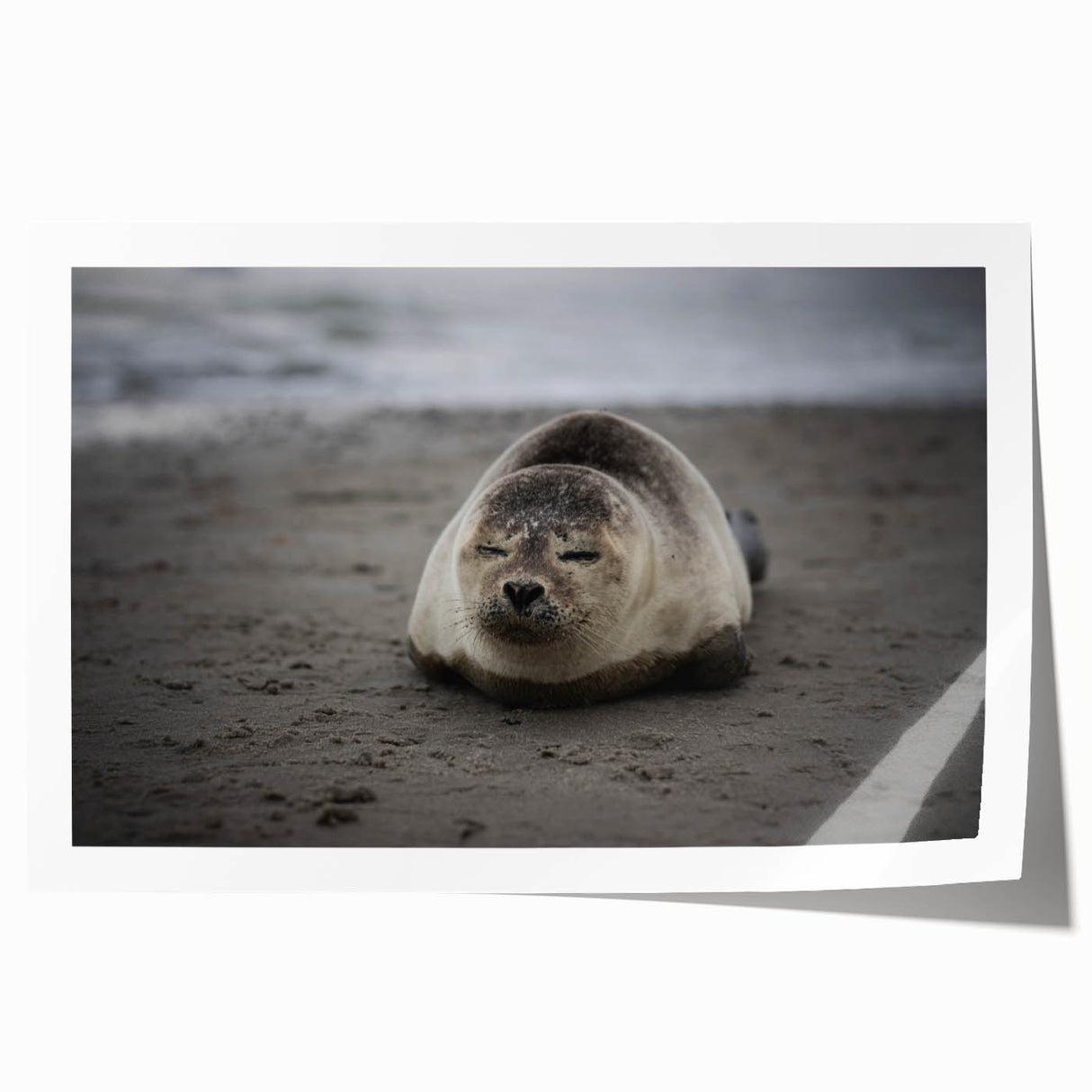 Extra large rolled print of a Galapagos scenery with vibrant green and blue tones, suitable for dining room wall art.