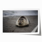 Extra large rolled print of a Galapagos scenery with vibrant green and blue tones, suitable for dining room wall art.