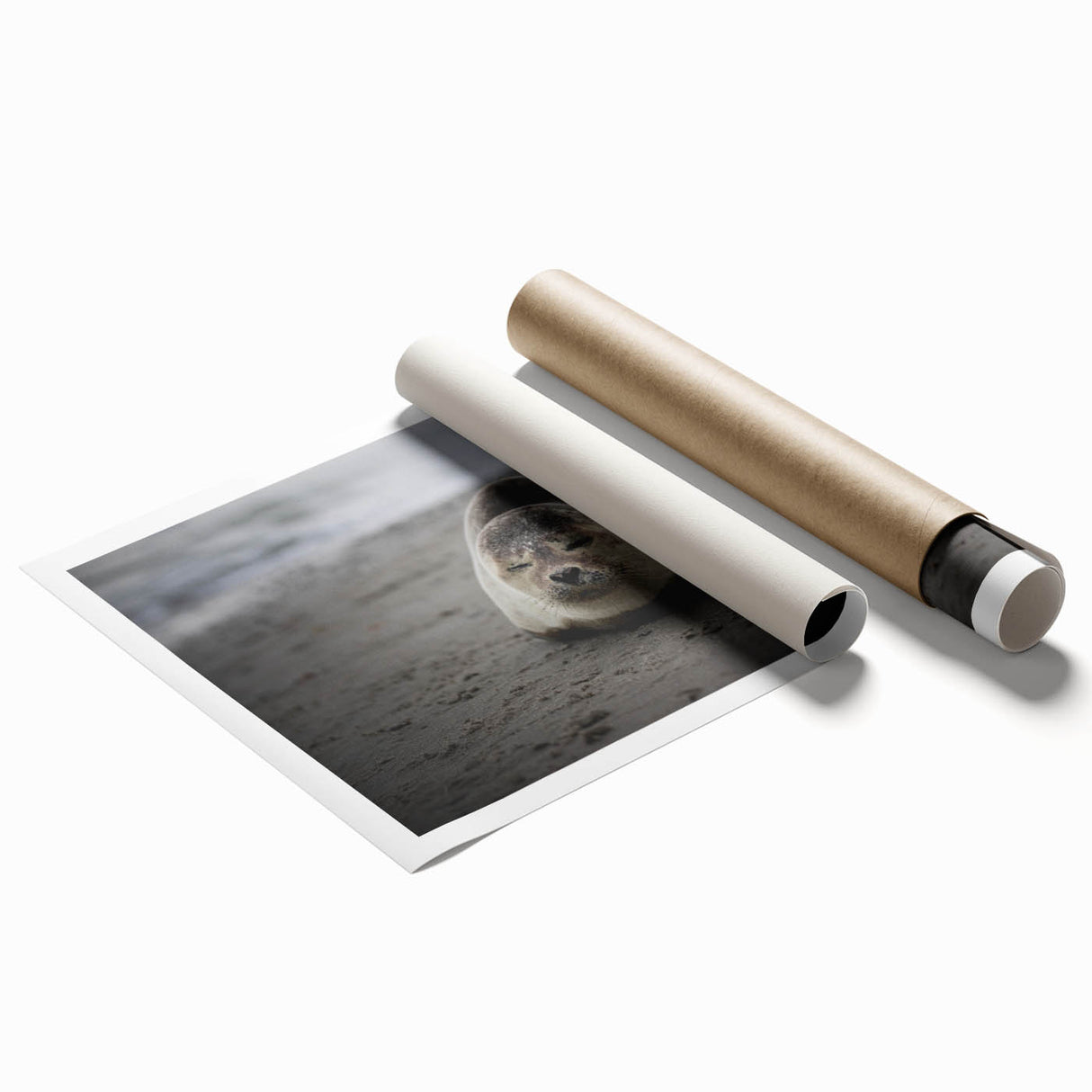 Extra large rolled print of Galapagos scenery with vivid floral elements.