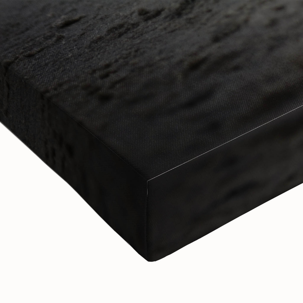 Large art canvas featuring a black and white landscape of the Galápagos, ideal for bedroom wall decor.