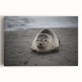 Black and white stretched canvas featuring a panoramic Galapagos scenery, ideal for kitchen wall art.
