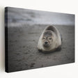 Large art print of Galapagos scenery on stretched canvas, featuring vivid blue and green tones, ideal for kitchen wall art.