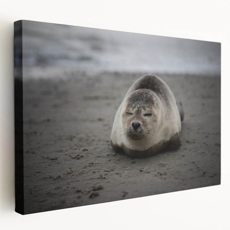 Large art print of Galapagos scenery on stretched canvas, featuring vivid blue and green tones, ideal for kitchen wall art.