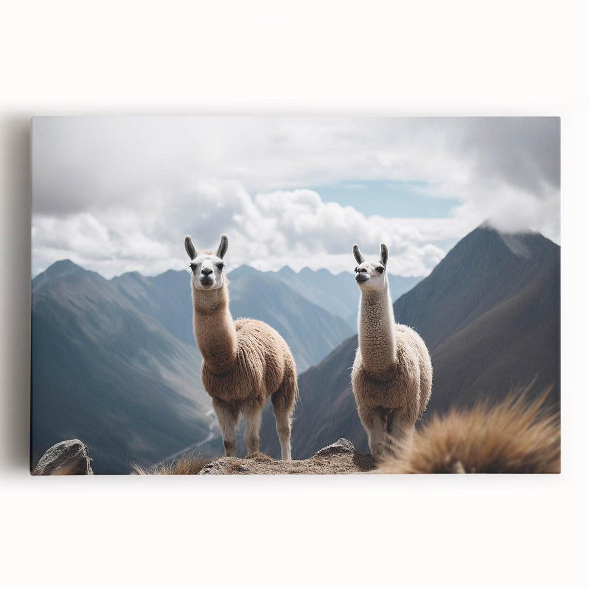 Black and white stretched canvas of a scenic Peruvian landscape, suitable for large kitchen wall art.