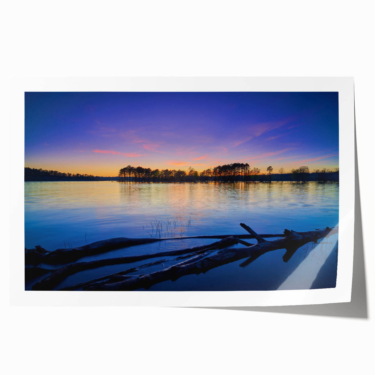 Rolled print of Arkansas scenery with floral motifs in soft pastel shades, ideal for art wall dining room.