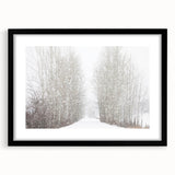 Abstract art print of Aspen scenery in vibrant colors on a textured, extra large canvas, framed in black.