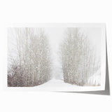 Rolled print of Aspen, Colorado scenery with vibrant autumn colors, ideal for art wall dining room.